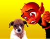 -(#)->>Les cousines font leur blog<<-(#)-